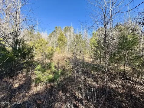 666 Solomon Road Prospect Hill NC 27314