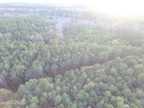 0 Shelter Creek Drive Burgaw NC 28425