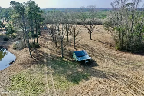 Near 4635 Hallsboro Road N Clarkton NC 28433