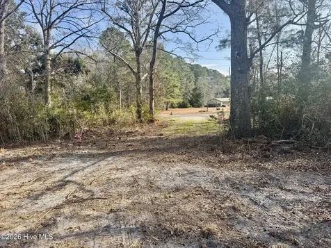 Near 4635 Hallsboro Road N Clarkton NC 28433