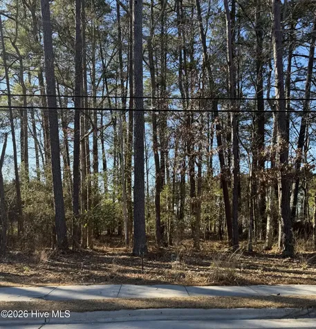 Lot 3 Springfield Road Rocky Mount NC 27801