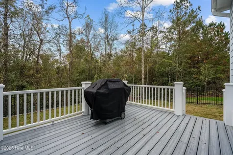 3818 Lemon Drop Lane NE Leland NC 28451
