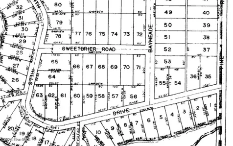 L-70&L-71 Sweetbrier Road Boiling Spring Lakes NC 28461