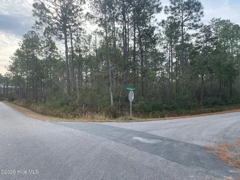 L-70&L-71 Sweetbrier Road Boiling Spring Lakes NC 28461