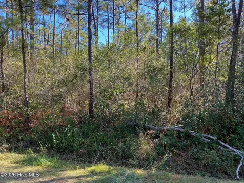 L-70&L-71 Sweetbrier Road Boiling Spring Lakes NC 28461