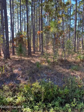 L-70&L-71 Sweetbrier Road Boiling Spring Lakes NC 28461