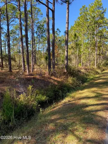 L-70&L-71 Sweetbrier Road Boiling Spring Lakes NC 28461