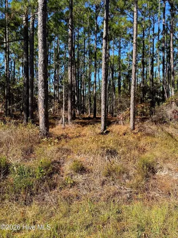 L-70&L-71 Sweetbrier Road Boiling Spring Lakes NC 28461