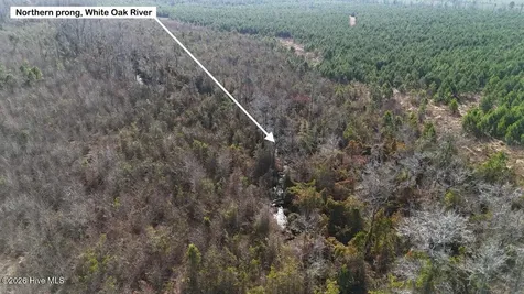 0 White Oak River Road Maysville NC 28555