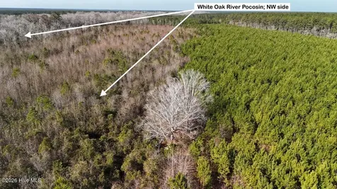 0 White Oak River Road Maysville NC 28555