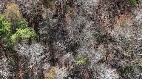 0 White Oak River Road Maysville NC 28555