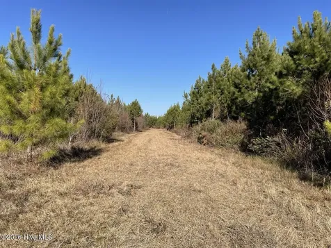 0 White Oak River Road Maysville NC 28555