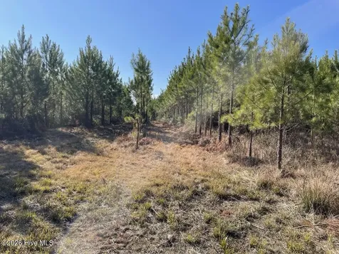 0 White Oak River Road Maysville NC 28555
