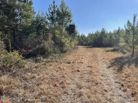 0 White Oak River Road Maysville NC 28555