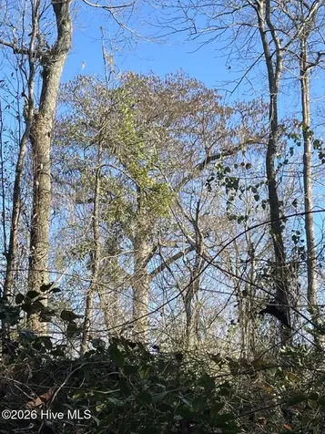 0 White Oak River Road Maysville NC 28555