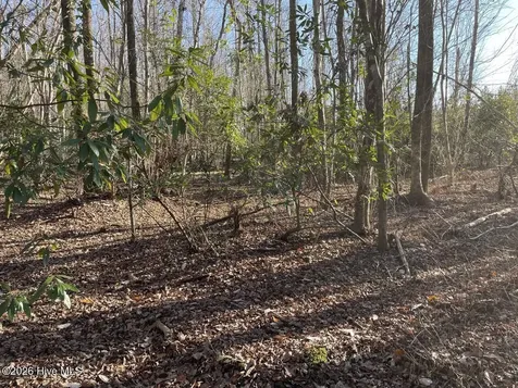 0 White Oak River Road Maysville NC 28555
