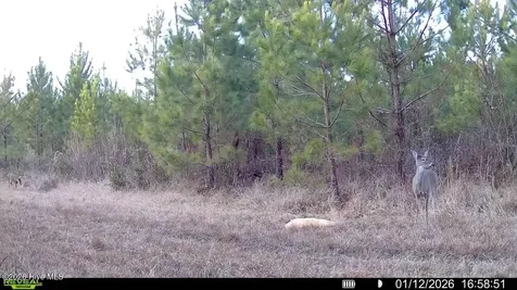 0 White Oak River Road Maysville NC 28555