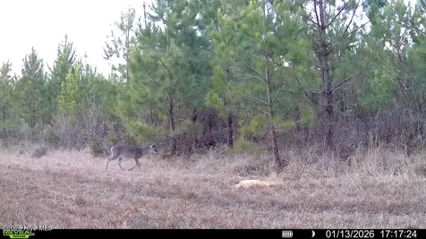 0 White Oak River Road Maysville NC 28555