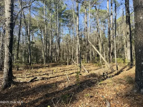 Lot 7 Peach Court Burgaw NC 28425