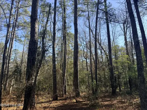 Lot 3 Peach Court Burgaw NC 28425