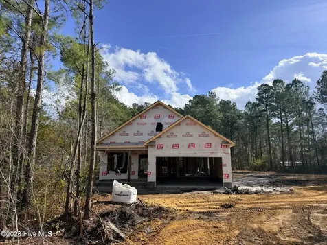 Lot 3 Peach Court Burgaw NC 28425