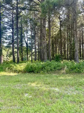 237 Winfall Circle Edenton NC 27932