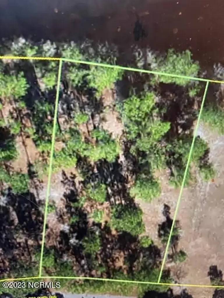 219 Oak Island Drive Harrells NC 28444
