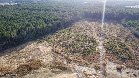 Lot 32 Talton Estates Drive Pikeville NC 27863