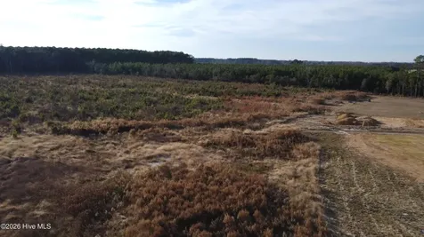 Lot 31 Talton Estates Drive Pikeville NC 27863