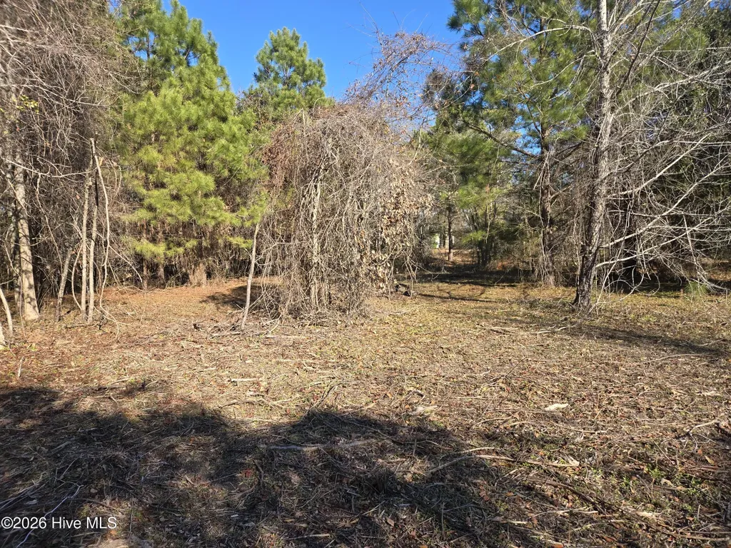 203 Moores Landing Court Hampstead NC 28443