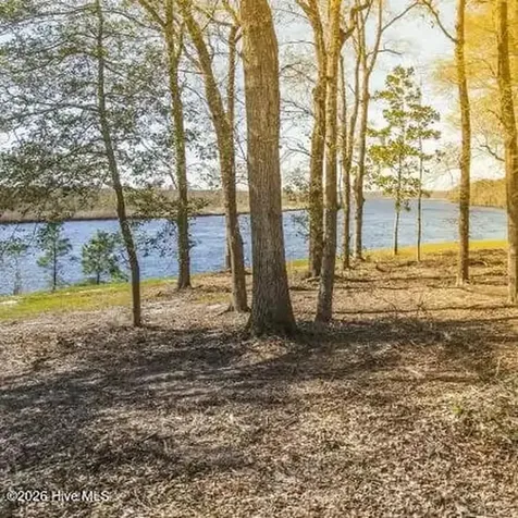 3622 Rosewood Landing Drive Castle Hayne NC 28429
