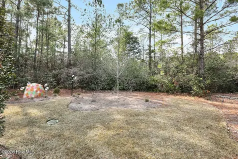 1090 Evangeline Drive Leland NC 28451