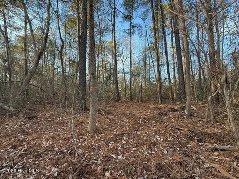 0 Carolina 410 Bladenboro NC 28320