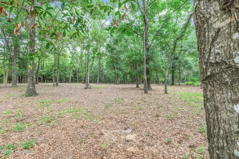 3197 Marsh View Drive SW Supply NC 28462