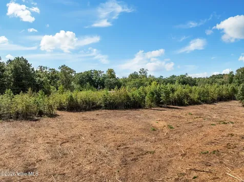 Lot 2 Jolly Ole Field Road Grifton NC 28530