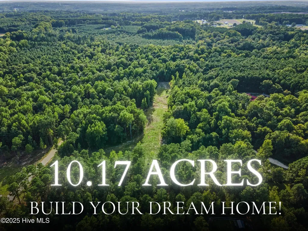 285 Old Eason Road Zebulon NC 27597