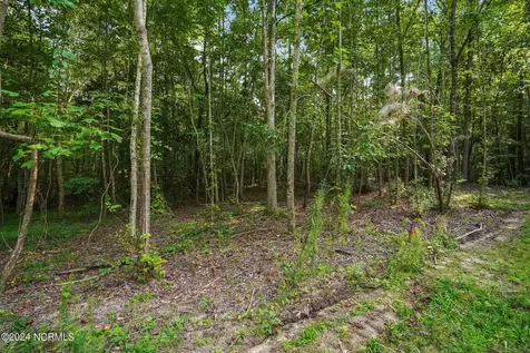 285 Old Eason Road Zebulon NC 27597