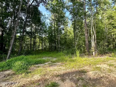 285 Old Eason Road Zebulon NC 27597