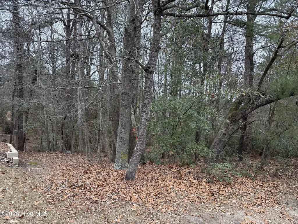 275 Canter Lane Pinehurst NC 28374