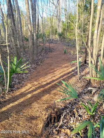 40 Alligator Creek Road Merritt NC 28556