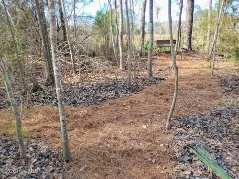 40 Alligator Creek Road Merritt NC 28556