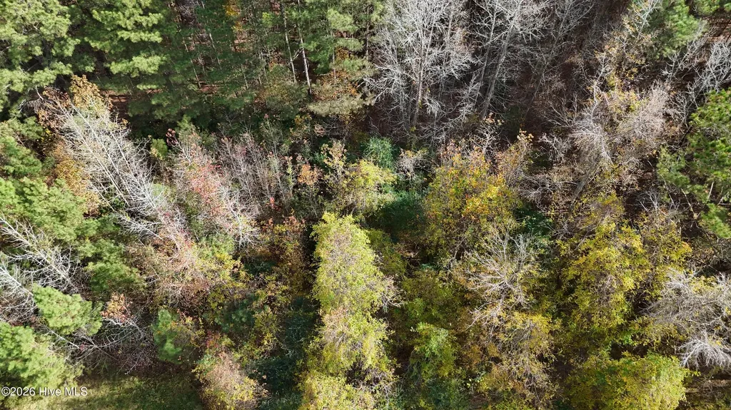 0000 Sr 1100 Blounts Creek NC 27814