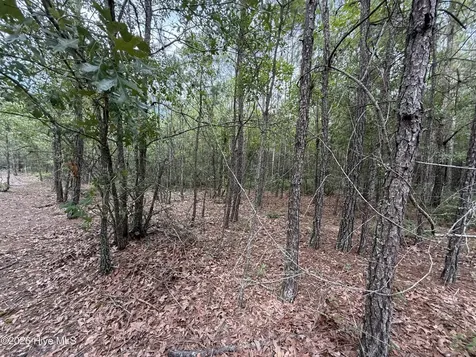 2162 Old Pamlico Beach Road W Belhaven NC 27810