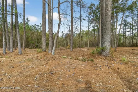 2162 Old Pamlico Beach Road W Belhaven NC 27810