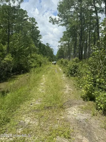 0 Land Road Havelock NC 28532