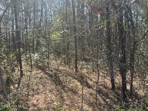 1894 Sunset Cove Drive SE Bolivia NC 28422