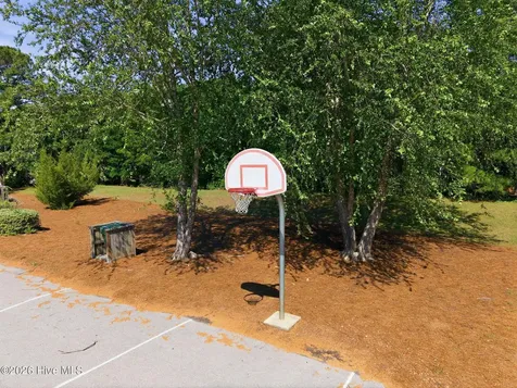 413 Canvasback Lane Sneads Ferry NC 28460