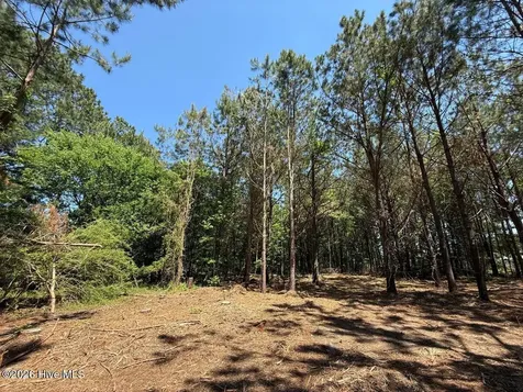 Lots 6 & 7 Fox Run Drive Pikeville NC 27863