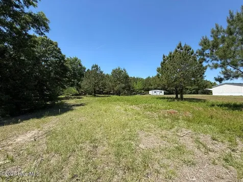 Lots 6 & 7 Fox Run Drive Pikeville NC 27863