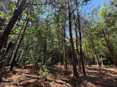 Lots 6 & 7 Fox Run Drive Pikeville NC 27863